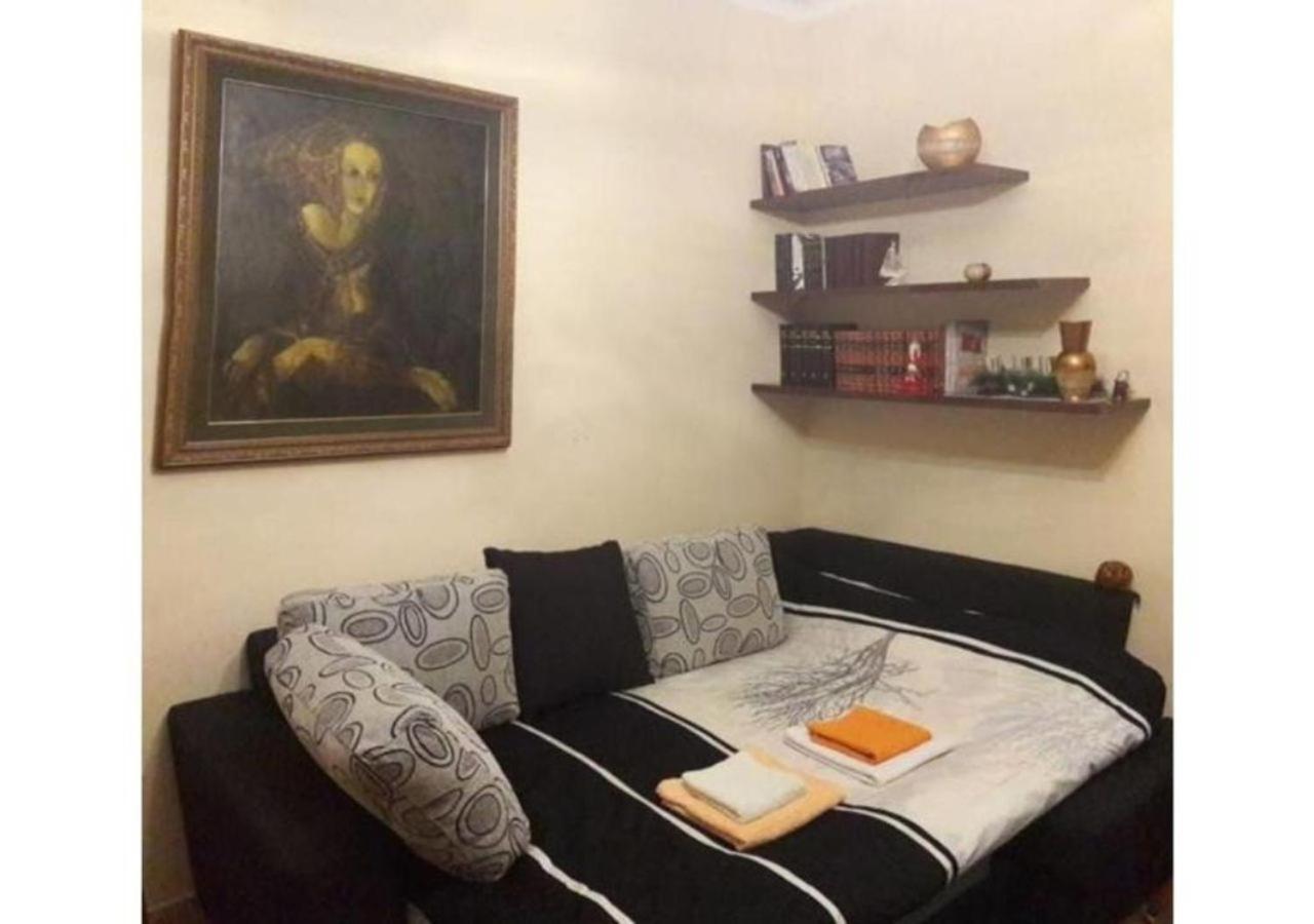 Center Lux Apartment Podgorica Buitenkant foto